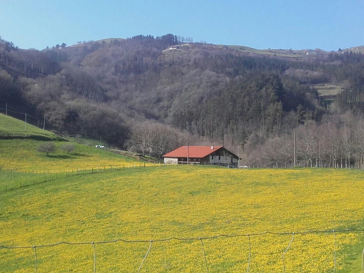 Hostel Otardi Asteasu Exteriér fotografie
